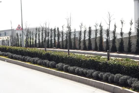 Su ve Altyapı — 2