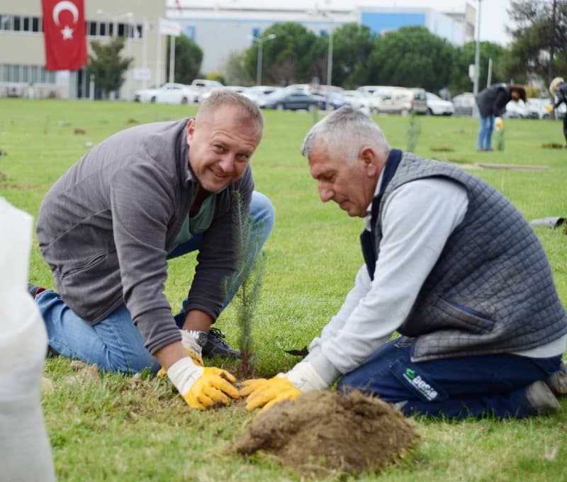 dosab 11 kasim fidan dikimi (8)